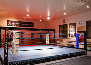 プロが使用する練習環境